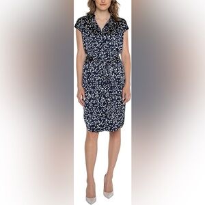 Liverpool Women's Dolman Sleeve Button Front Dress Stretch Satin Small